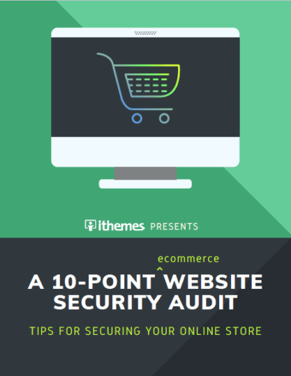 How to Secure Your Online Store for the Holidays: A 10-Point Website Security Audit